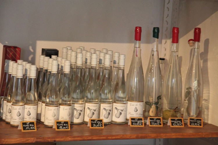 Destilería Colombier