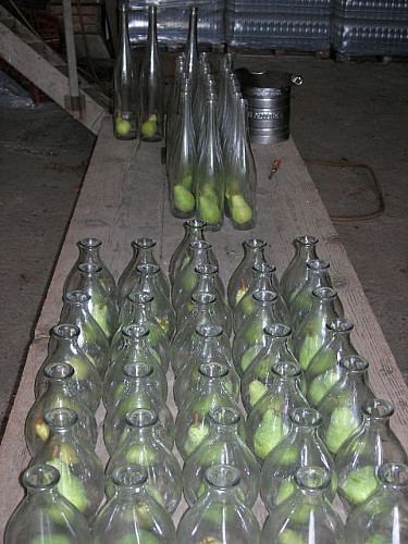 Destilería Colombier