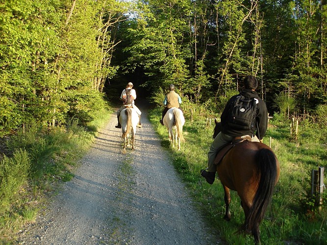 Sentier équestre