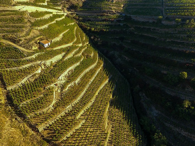 Cave de Tain (wine cellar)