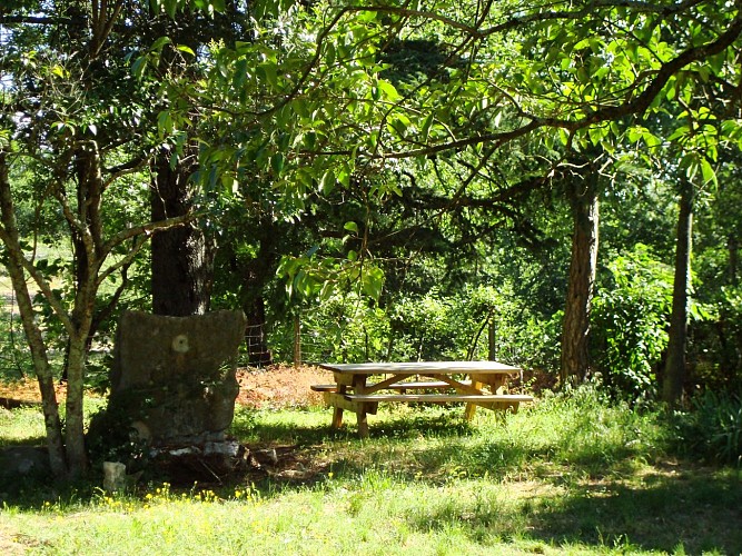 Aire de Pique Nique - Musée Daudet