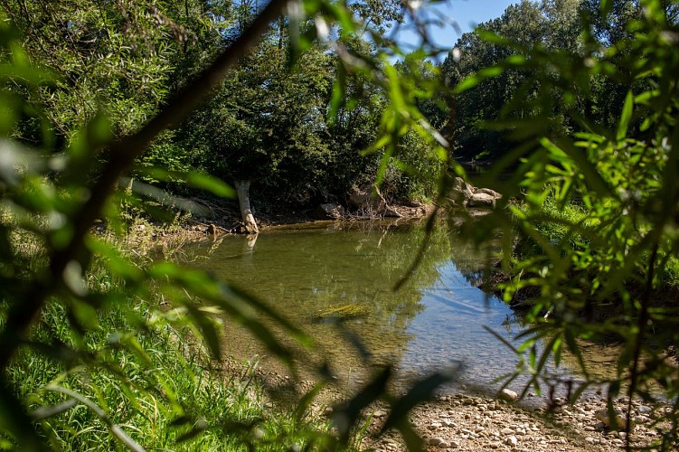 Brotteaux de la Rivière d'Ain