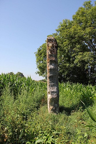 Menhir de pierre