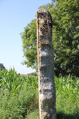 Menhir de pierre