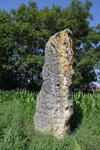 Menhir de pierre