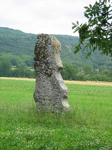 Menhir de pierre