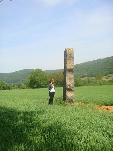 Menhir de pierre