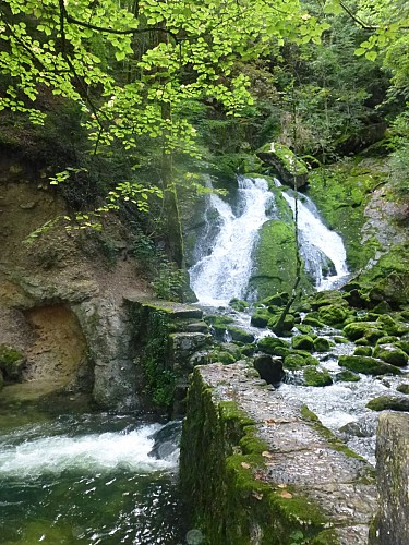 Sources de l'Allondon