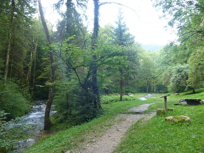 Sources de l'Allondon