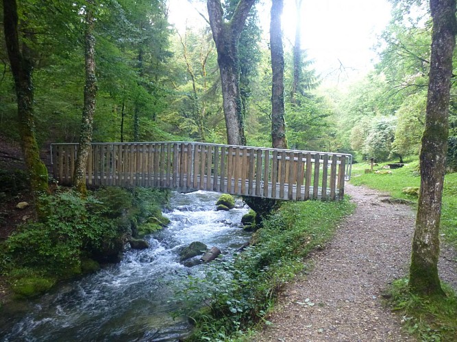 Sources de l'Allondon