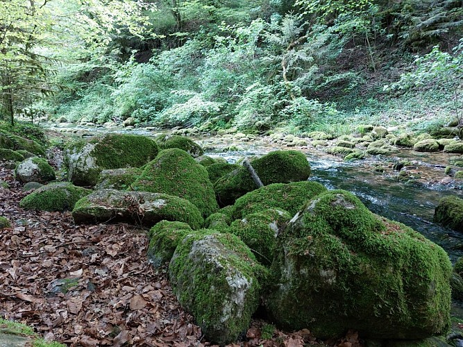 Sources de l'Allondon