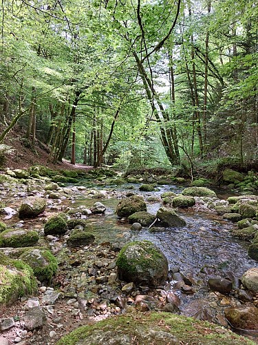 Sources de l'Allondon