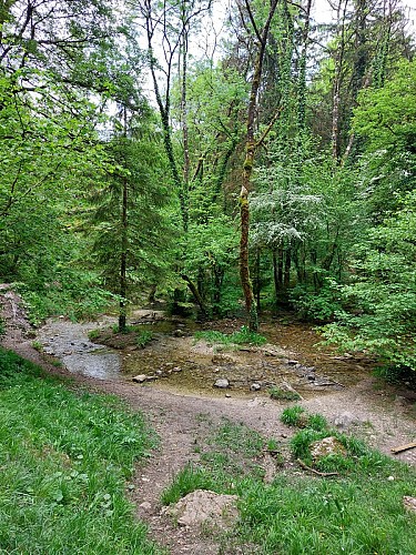 Sources de l'Allondon