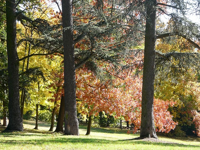 Parc des Minimes