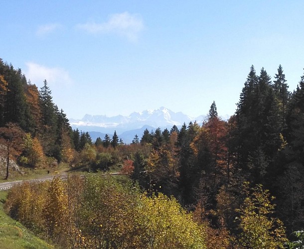 The Faucille Pass