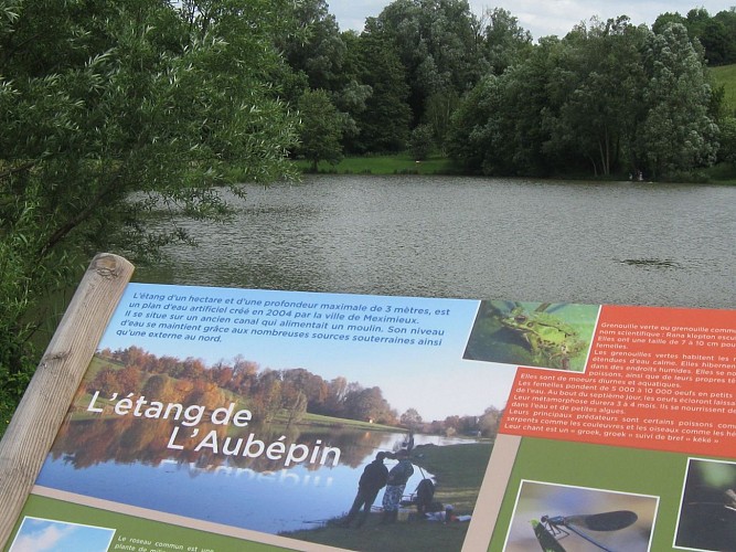 Etang de l'Aubépin et son parcours de santé