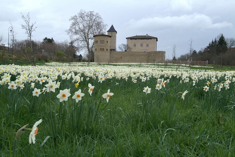 Château-fort de Saint-Bernard