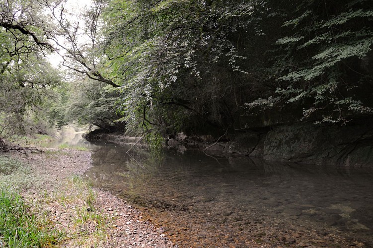 The Valley of the Suran