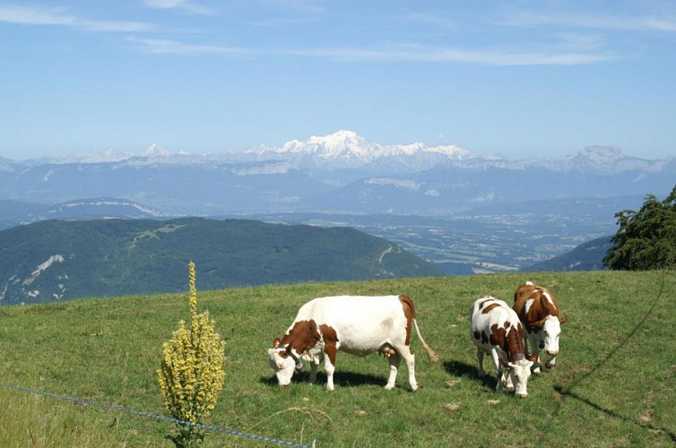 Massif du Grand Colombier