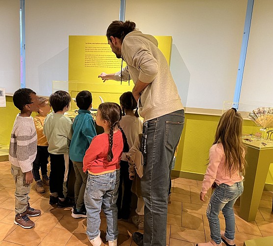 Musée du Peigne et de la Plasturgie