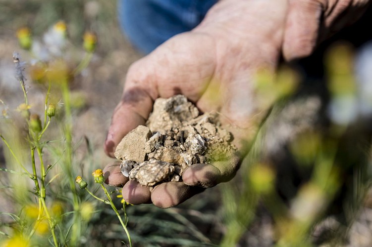 Domaine Fayolle Fils et Fille