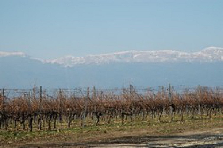 Panorama sur le Jura