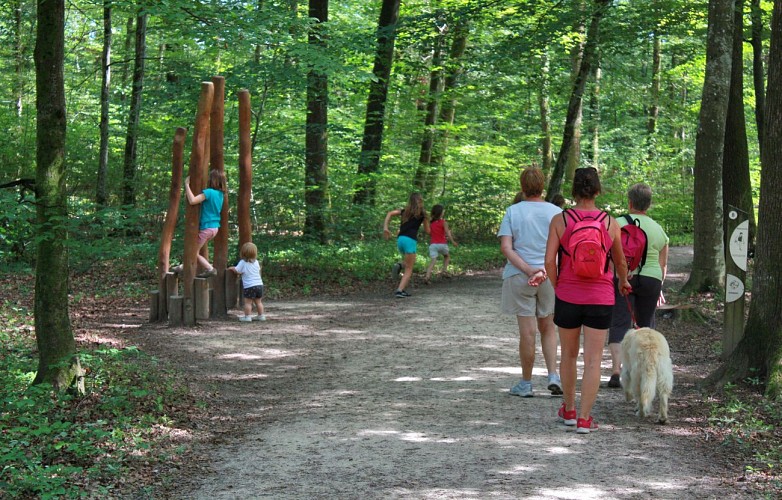 Forêt  domaniale de Seillon, ENS de l'Ain