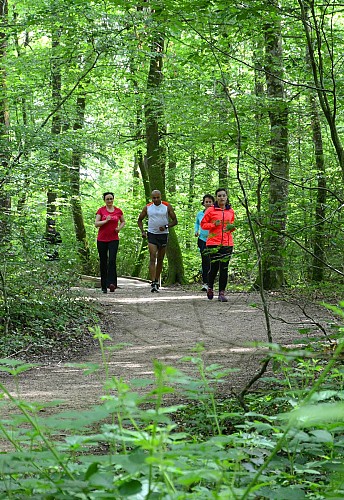 Forêt  domaniale de Seillon, ENS de l'Ain