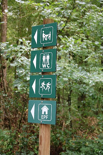 Forêt  domaniale de Seillon, ENS de l'Ain