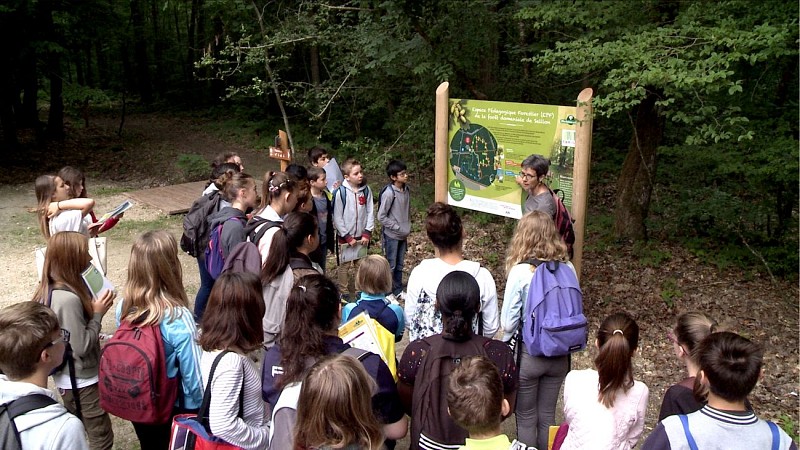 Forêt  domaniale de Seillon, ENS de l'Ain