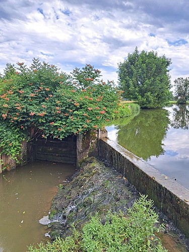 Le Moulin de Bruno et son pont, Sauvegarde et promotion Patrimoniale