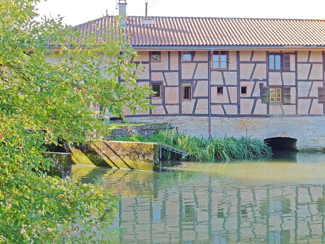 Le Moulin de Bruno et son pont, Sauvegarde et promotion Patrimoniale