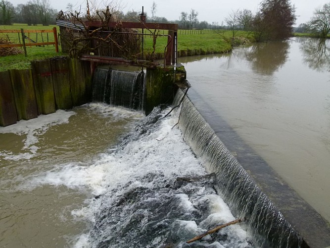 Le Moulin de Bruno et son pont, Sauvegarde et promotion Patrimoniale