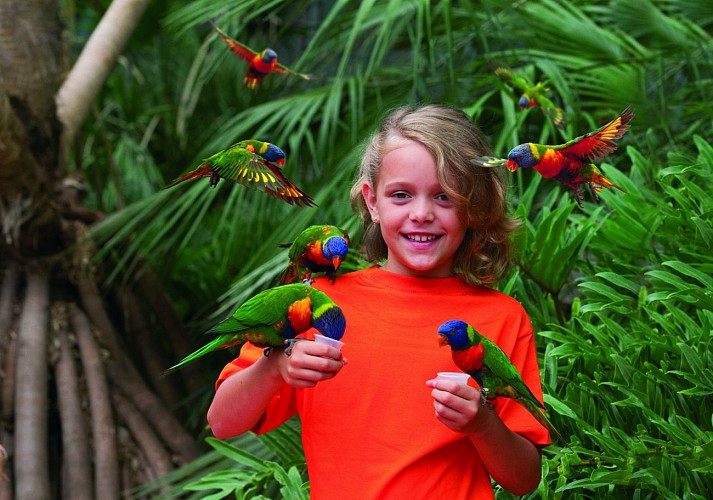 Parc des Oiseaux