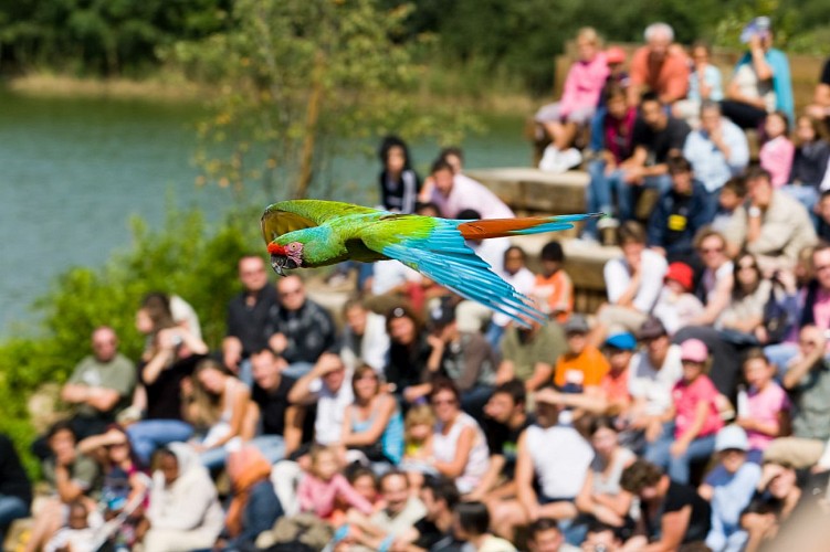 Parc des Oiseaux