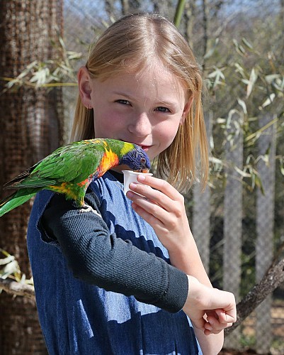 Parc des Oiseaux