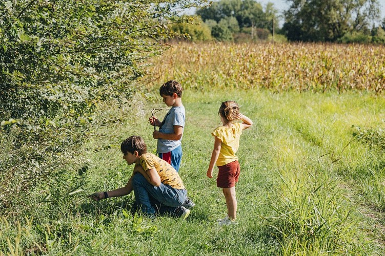 Le Méandre des Oves