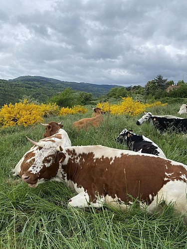La ferme de l'Amélie