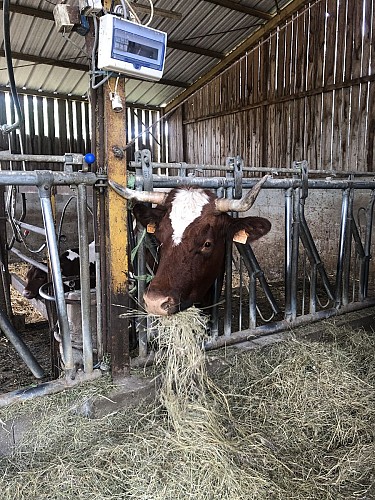 La ferme de l'Amélie