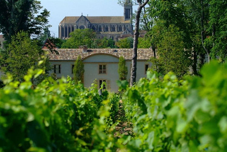 Château des Broyers