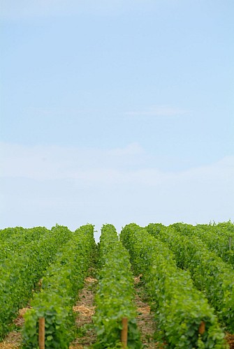 Château des Broyers