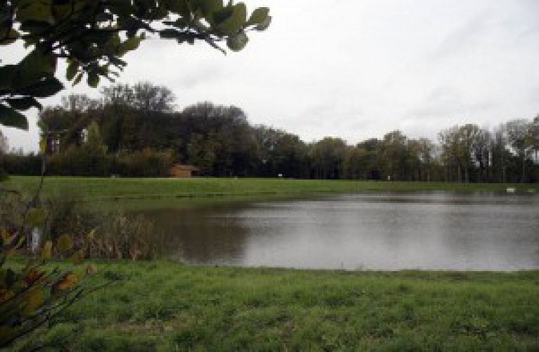 Etang des Carronnières