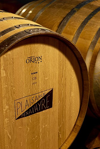 domaine plaisance 1 VACQUIER