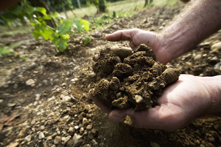 domaine plaisance 10 VACQUIER