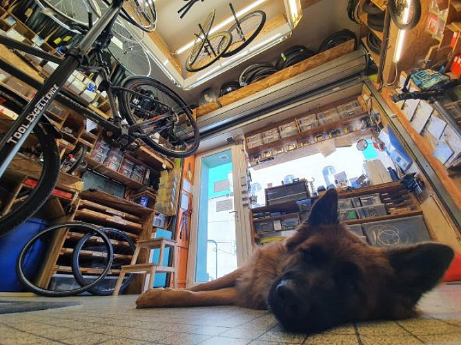 NANTES BIKE SOLUTIONS