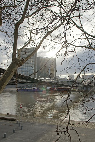 BNF François Mitterrand