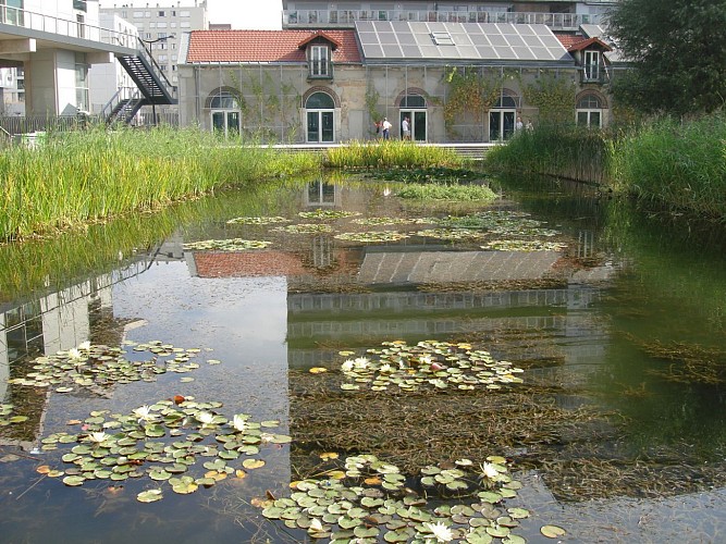 Parc Clichy-Batignolles-Martin-Luther-King