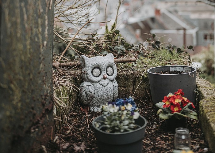 Tuin van het huisje "Le Papillon" in Nismes