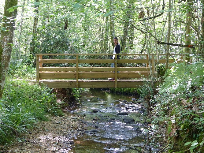 Ger vallon du Manas juillet 2021 crédit tourisme nord béarn madiran (44)