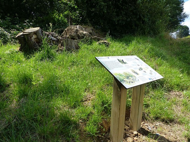 Ger vallon du Manas (55)